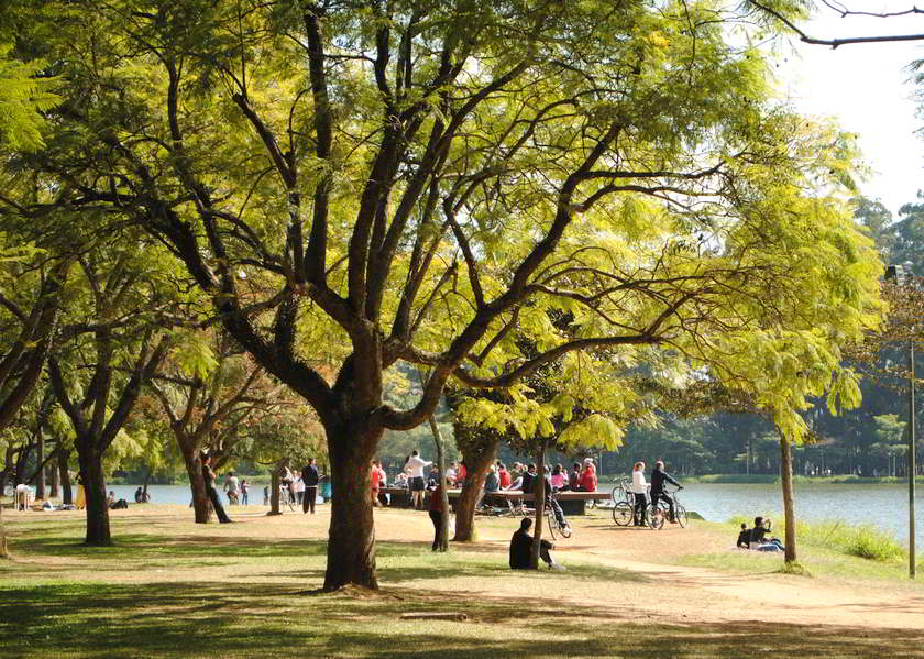 CAFE DO PONTO - QUIOSQUE - Ibirapuera