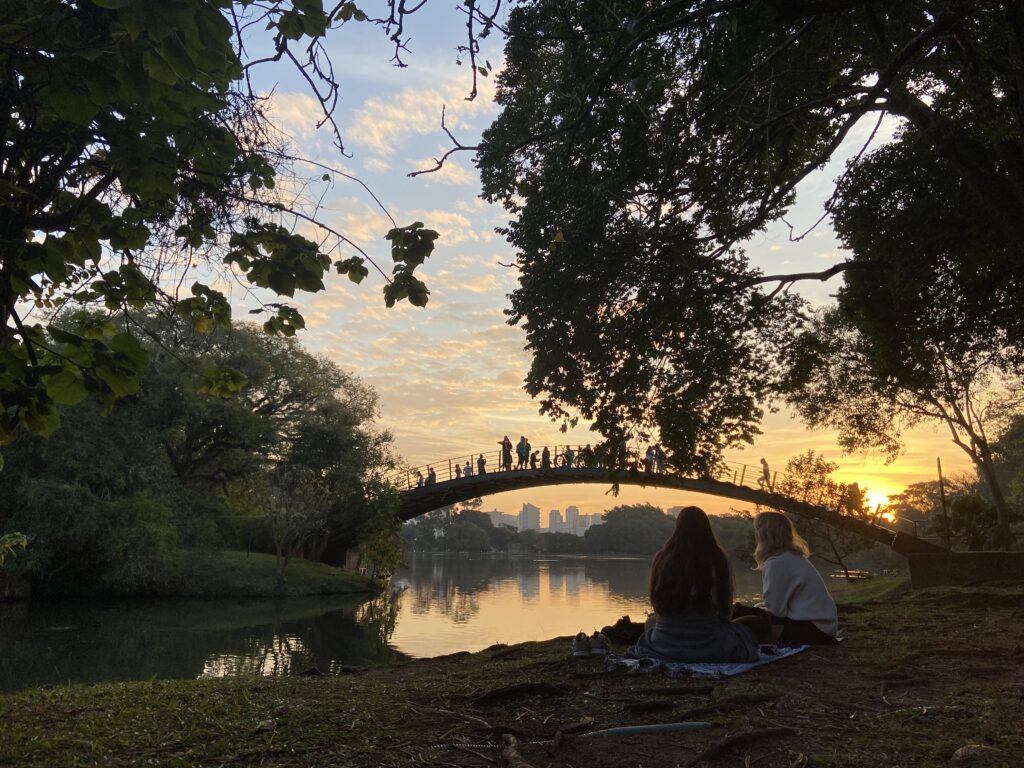 Agenda semanal: Parque Ibirapuera passa a oferecer observação solar gratuita no Planetário